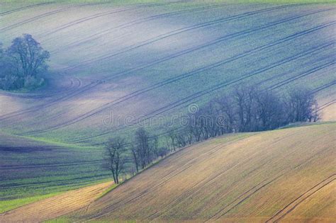 Rolling Fields Of Moravian Toscany Near Kyjov Czechia Stock Image