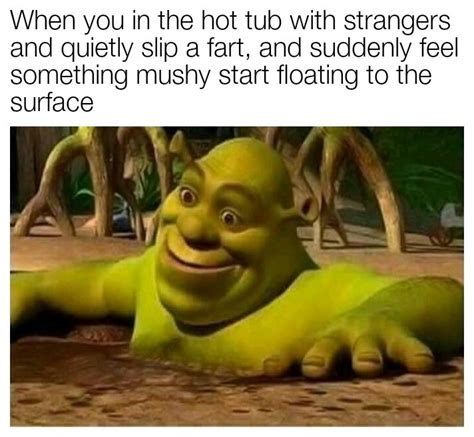 The 97 Funniest Shrek Memes In The History Of Humanit