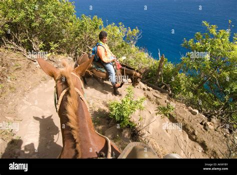 Hawaii Molokai The Mule Ride From The Cliff Tops Down 1 600 Feet To The