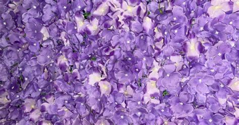 Purple Flower Wall Olympic Party Hire