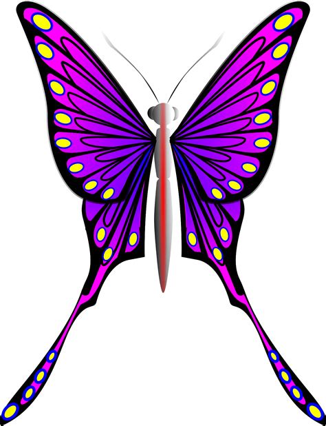 Butterfly Clipart Purple Butterfly Clipart Butterfly Digital Download