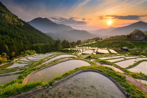 Japans Amazingly Beautiful Terraced Rice Fields Natures Art With A