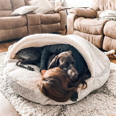 Luxury Cozy Cave Show Dog Collection Snoozer In 2021 Cave Dog Bed