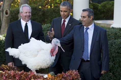 do you know which president was the first to pardon a turkey the washington post