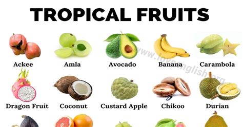 Kinds Of Fruits With Names Encycloall