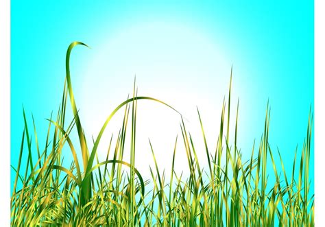 Tall Grass Vector At Getdrawings Free Download