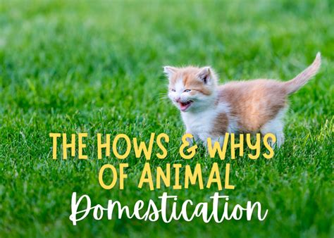 The Hows And Whys Of Animal Domestication Terrebonne Parish Library