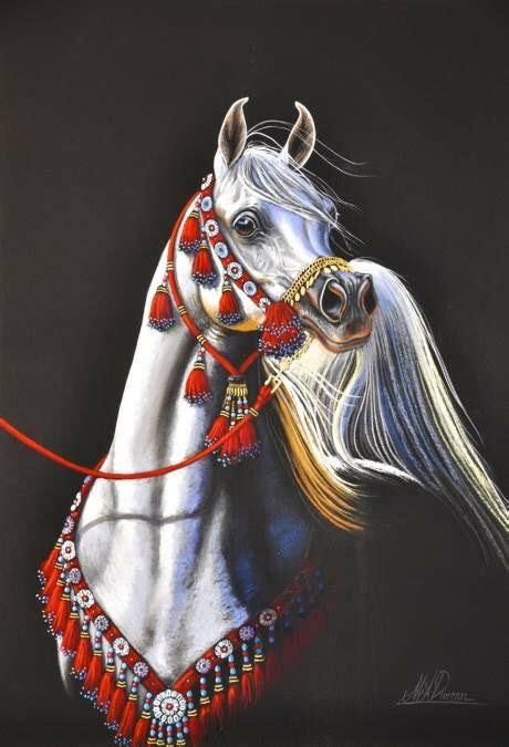 By Marian Duncan Arabian Horse Art Beautiful Arabian Horses Pretty