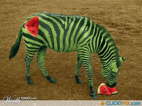 Freaky Photoshopped Animal Hybrids Funny Pinterest Funny Animals