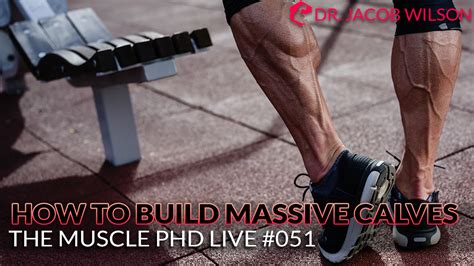 The Muscle PhD Academy Live Calves Training The Muscle PhD