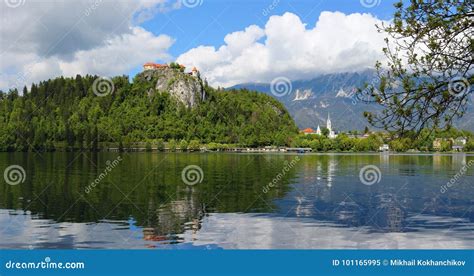 Panorama Of Bled Lake In Slovenia Stock Image Image Of Europe Alpine