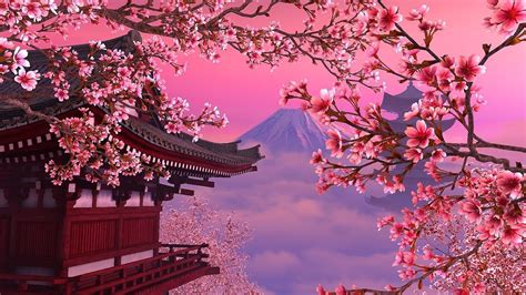 Cherry Blossom Tree Anime Wallpapers Wallpaper Cave