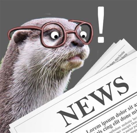 News In Otter News