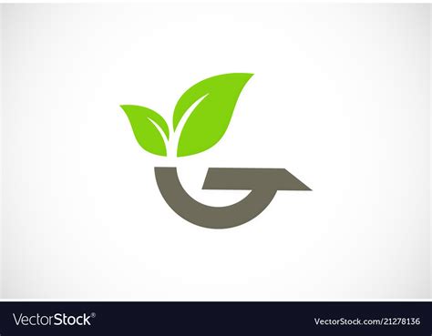 Letter G Green Leaf Logo Royalty Free Vector Image