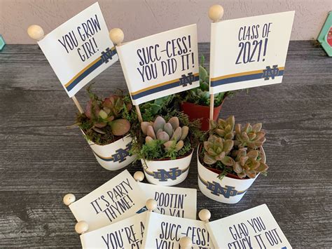 Graduation Succulent Plant Favors Custom Tags With School Etsy