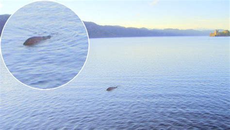 Loch Ness Monster Captured In New Photo Maybe The Hollywood Gossip