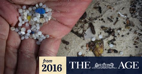 Marine Plastic Pollution Senate Inquiry Targets Australian Ocean Pollution