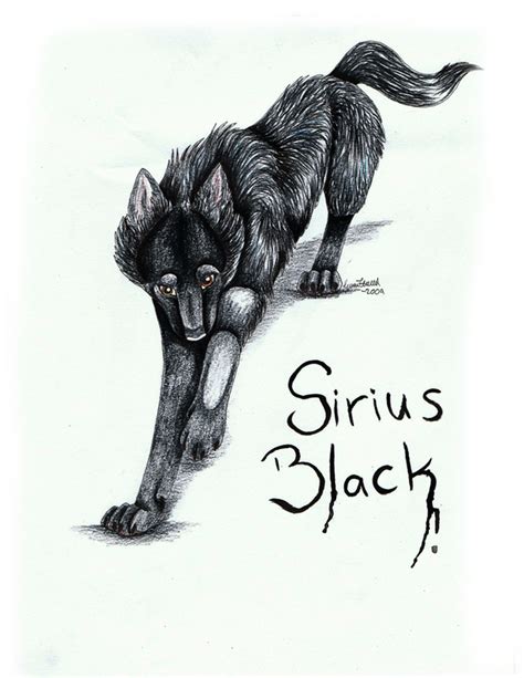 Sirius Black By Tussensessan On Deviantart