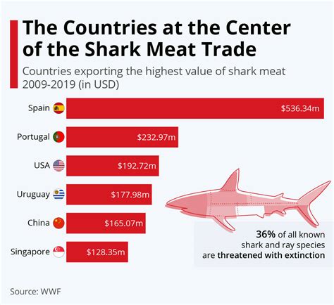 Uk To Ban Shark Finning Pr Stunt Or Real Shark Protection