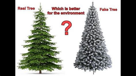 Real Vs Fake Christmas Tree Poll Results Christmas Images