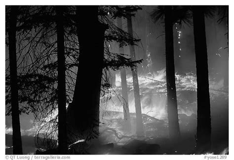 Black And White Picturephoto Prescribed Fire Yosemite National Park