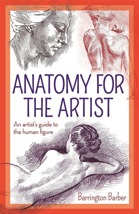 Anatomy For The Artist An Artists Guide To The Human Figure