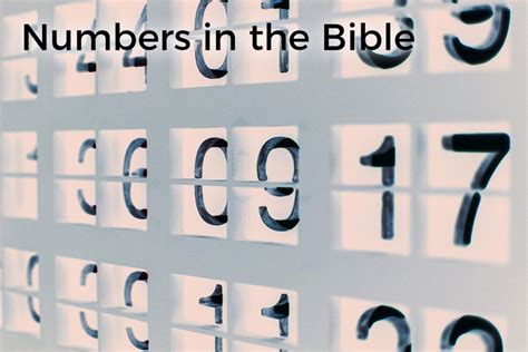 Numbers In The Bible The Official Scott Roberts Website