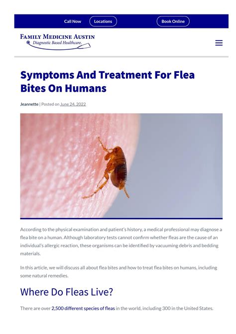The Symptoms And Treatments For Flea Bites By FamilyMedicineAustin Issuu