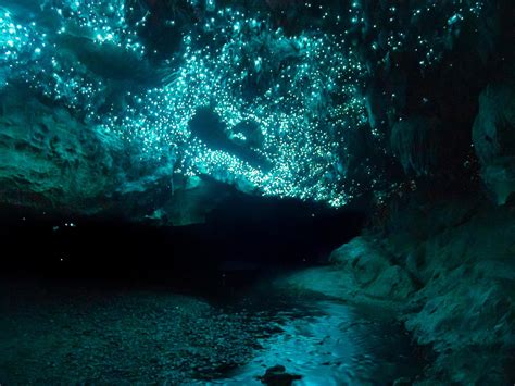 10 Dazzling Glowworm Cave Images Fontica Blog