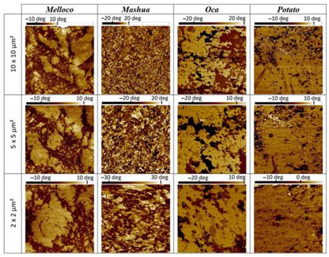 Polymers Free Full Text Nanoscopic Characterization Of Starch