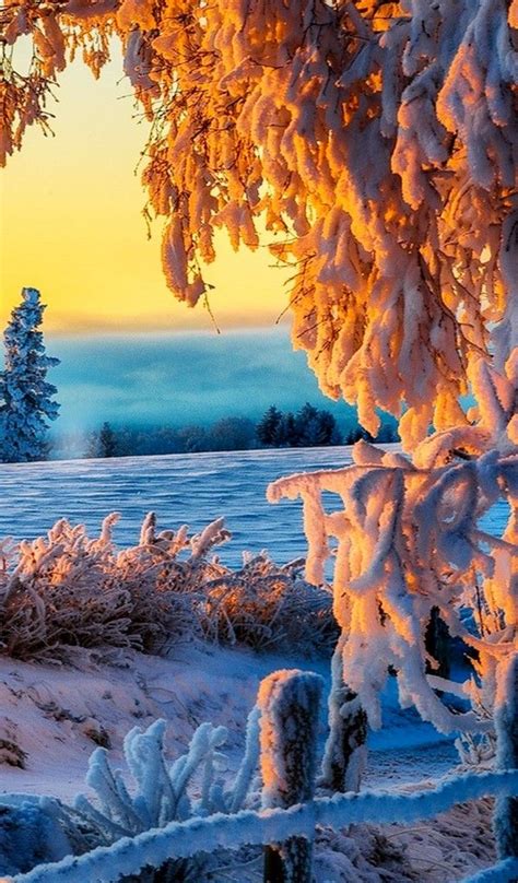 130 best Winter Wonderland: A Celebration of Snowy Winter Scenes ...