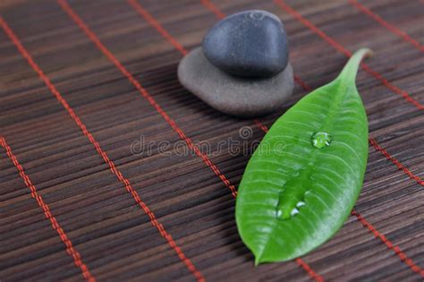 Stones With Green Sheet On A Bamboo Napkin Stock Photo Image Of Group