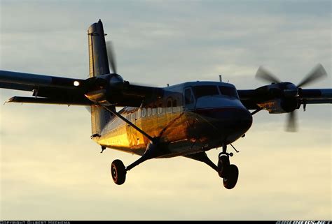 De Havilland Canada DHC 6 300 Twin Otter Aircraft Picture De