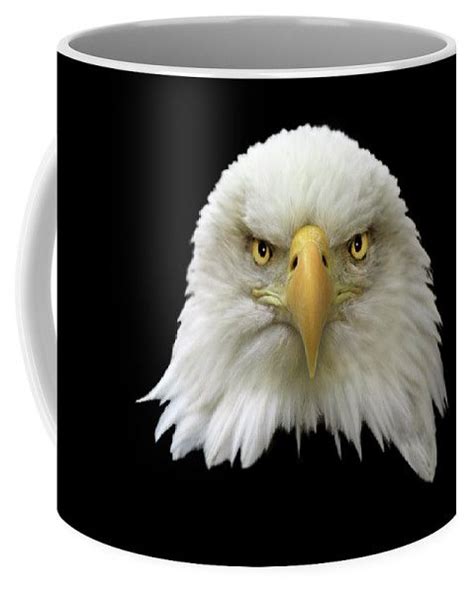 Bald Eagle Coffee Mug By Shane Bechler Coffee Mugs Bald Eagle Mugs