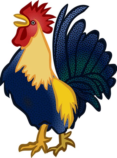 Hewan Ayam Jantan Tanah Gambar Vektor Gratis Di Pixabay