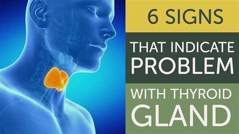 6 Symptoms Of Problems With Thyroid Gland Youtube