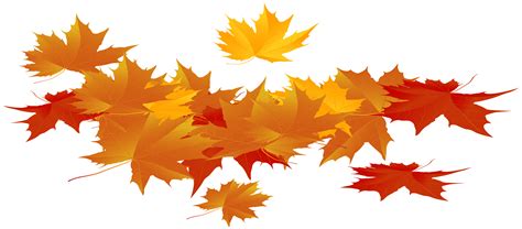 Autumn Leaves Png 20 Free Cliparts Download Images On Clipground 2024