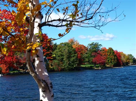 46 Maine Fall Foliage Wallpaper On Wallpapersafari