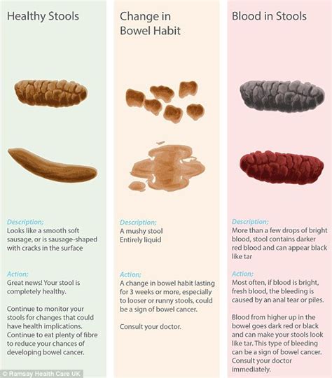 What Does Your Poo Say About You Chart Reveals Healthy Health