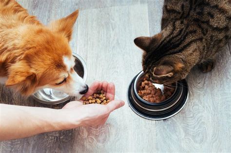 Packaged Facts Predicts Top 5 Trends For Pet Food 2020 09 18 Pet