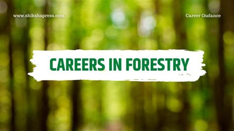Career In Forestry And Wildlife Best Educational Website Shikshapress
