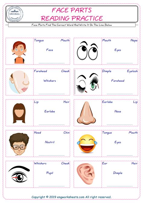 Parts Of The Face Worksheet For Kindergarten Worksheets For Kindergarten