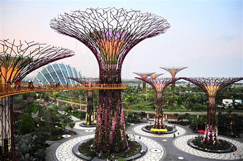 Singapores Unique Urban Forest Park