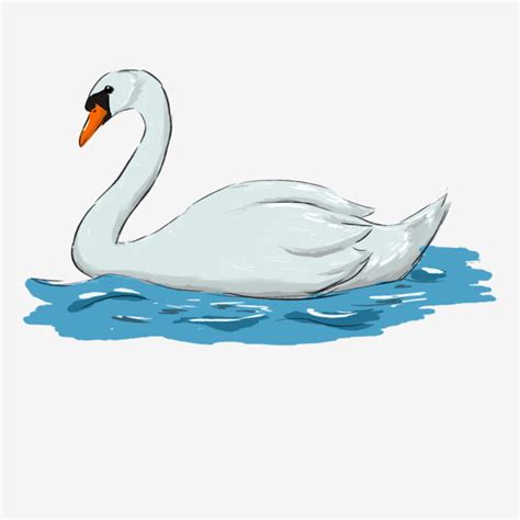 Cartoon Swan Png Image Cartoon White Swan Swimming In The Water Swan