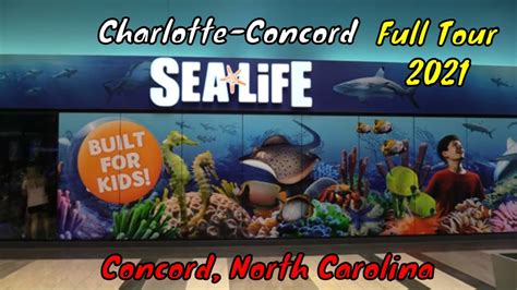 Sea Life Charlotte Concord Aquarium Full Tour Concord North Carolina