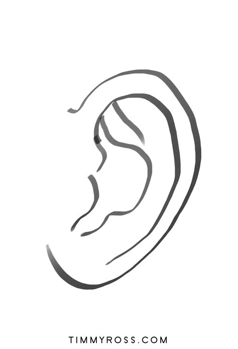 How To Draw An Ear Timothy Ross