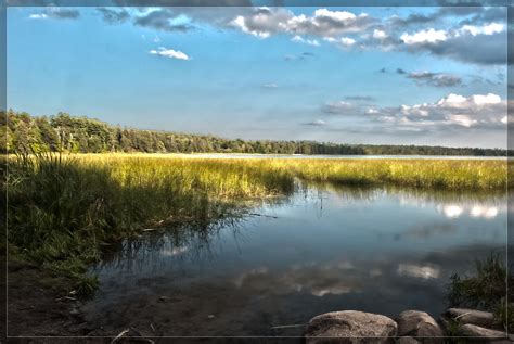 Itasca State Park Minnesota Is Full Of Pine Trees And So Much More