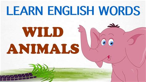 Wild Animals Pre School Learn English Words Spelling Video For