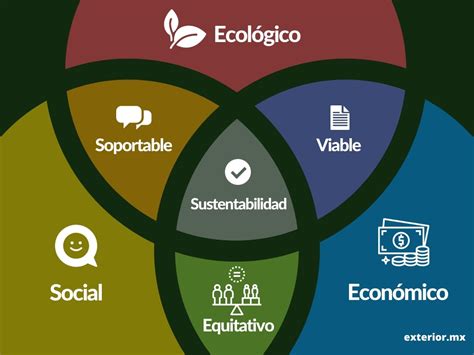 Sustentabilidad Que Es Definición Principios Y Ejes 🌲 2022