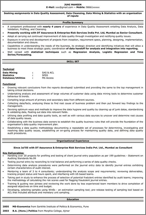 Resume Summary Examples For Data Entry Resume Example Gallery